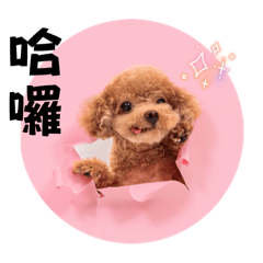 乖寶寶的日常貼圖