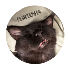 貓～～～～