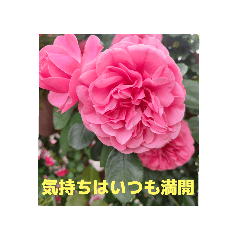 Gg_20250809194915