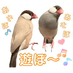 chie_20250807104753