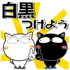 CAT cat CAT 10th White and Black