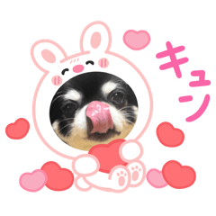 かい。25、1ページ - LINE スタンプ | LINE STORE