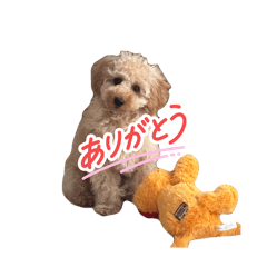 NATSUMI_20250810101835