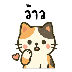 แมวสามสีสุดคิวท์ ขี้เล่น ขี้อ้อน