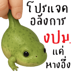 โปรแจคอังการ !!!