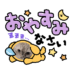 ruka_20250810160130