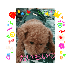 rika_20250810172408