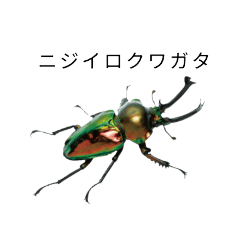 Re,MrC_20250806180800