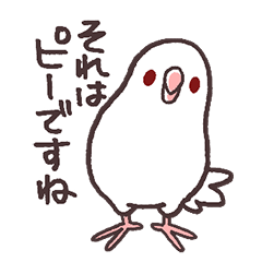 Kawaii White Parrotlet