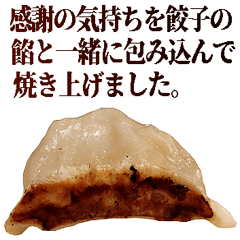 Everyday Funny Gyoza