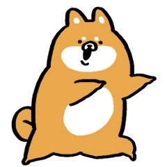 SHIBA-dog3
