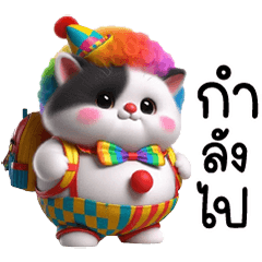 Black and white cat, funny, cute