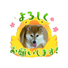 kanako_20250811020237