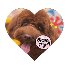 suzu_20250811080111