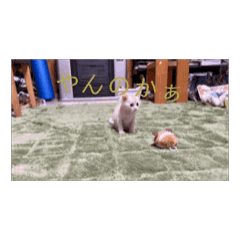 mame_20250811001352