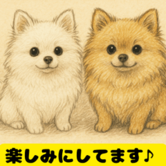 Cute Pomeranian Puppy - Daily Emoji