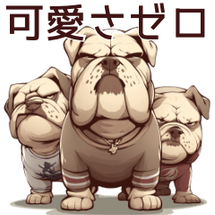 Bulldog with Zero Cuteness Daily Life 2