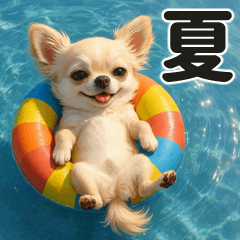 You can use it all the time Summer