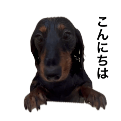 konnitiwa_20250807144618