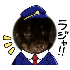 mirei_20250810202243