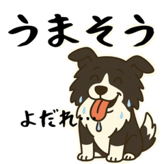 If you like dogs, check it out!