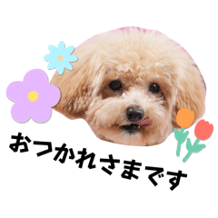 Nozomi_20250810203250