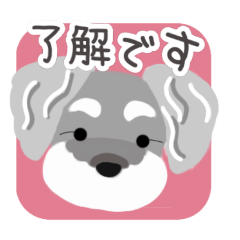 彩りシュナウザー(松原のラン