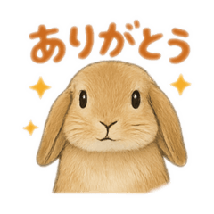 himawari_20250810124250