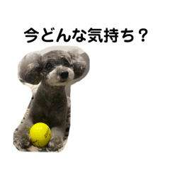 non_20250808214347