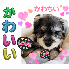 yuto_20250808223319