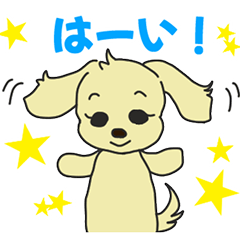 Pawfect Trio: Dachshund & Yorkies