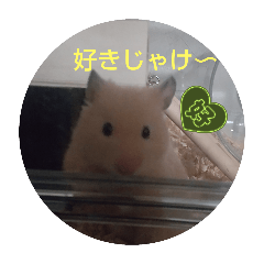 kana_20250810215103