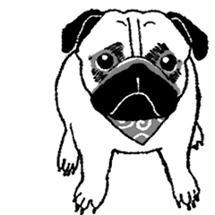 moving illustration sticker of a pug!