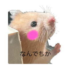 yagami_20250809082924