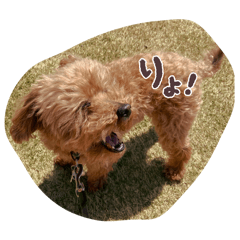 KAZUKI_20250810130739