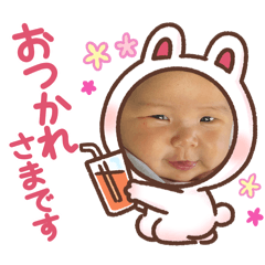 maple_20250810130130