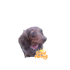 crystal_20250810222904