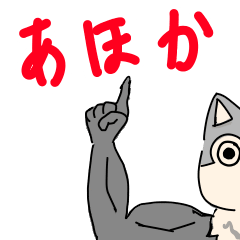 mattyonyonyo