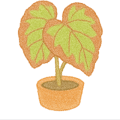 縁起のいい鉢植えたち