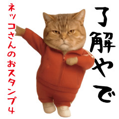 Easy-to-use cat sticker4.