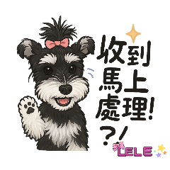 BJL LOVE_20250809135249