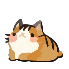幹話貓球♥動態特輯