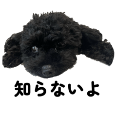 mitsuki_20250810180712