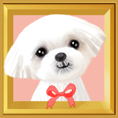 【マルチーズのおうち】動くよ！Pop-Up