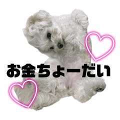 akane_20250810010425