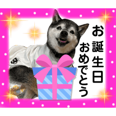 KURUMI_20250810002852