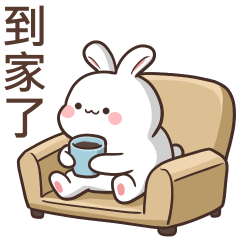 ♡Q白兔♡到家了