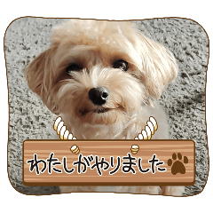 suu_20250810140028