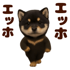 Dancing! Black Shiba-Mini Shiba