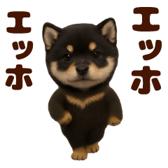 Dancing! Black Shiba/Mini Shiba